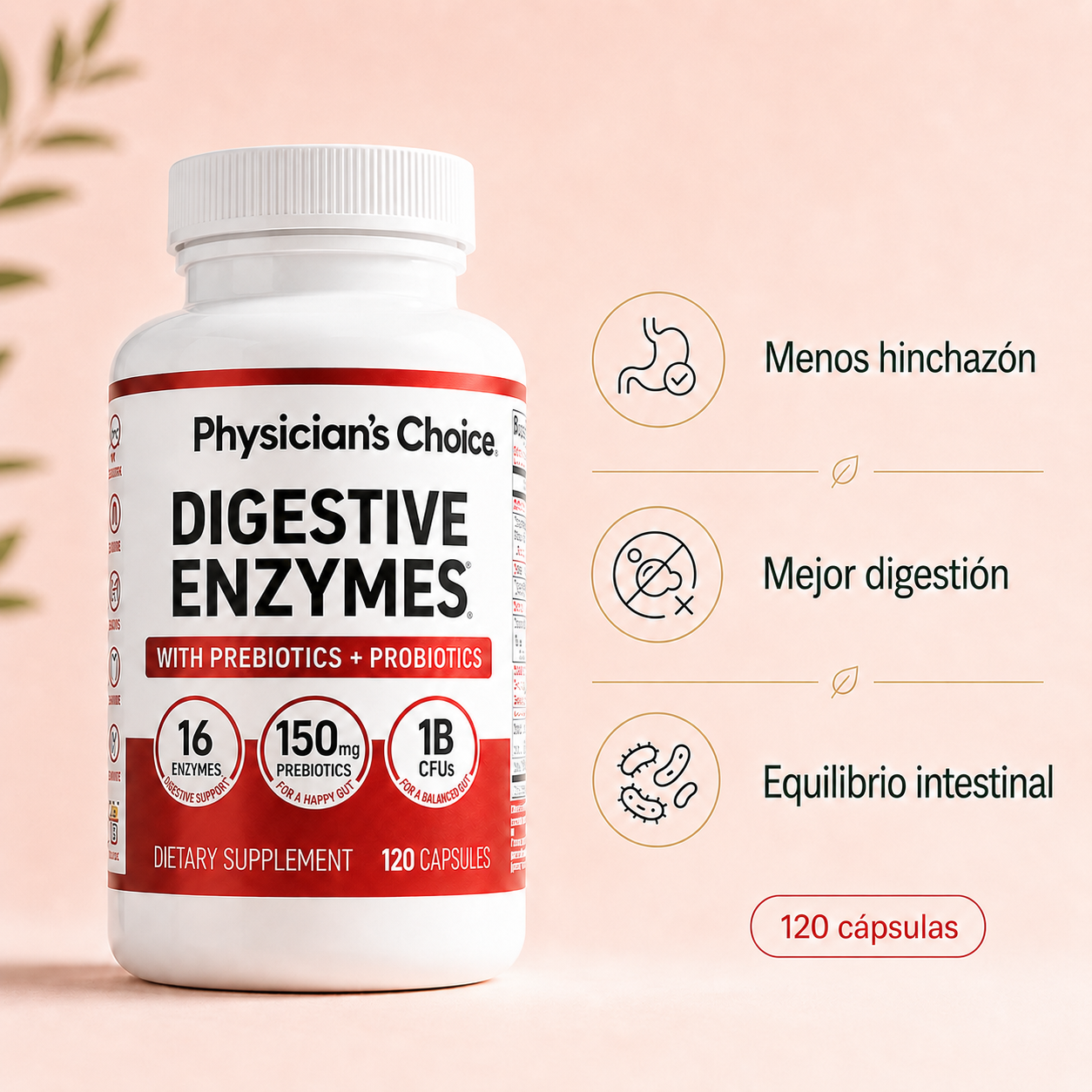 Enzimas Digestivas